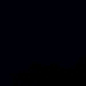 Meet your Posher, Walter